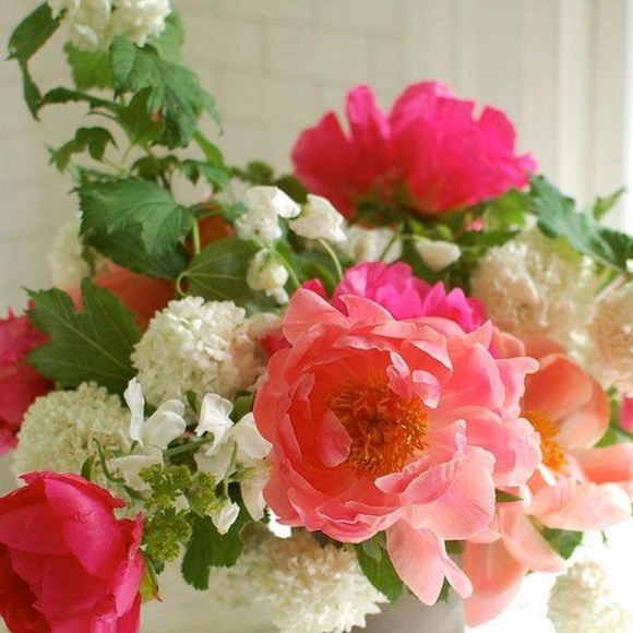 Meet your Posher, Susan - Picture 15 of 15